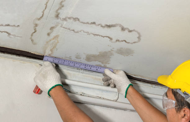 Reliable Water Damage Repair contractor in Linthicum Heights, MD by Hirex Water Damage